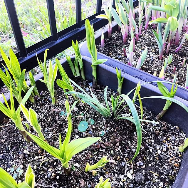 NSDさんの実例写真