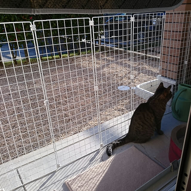 lilyさんの実例写真