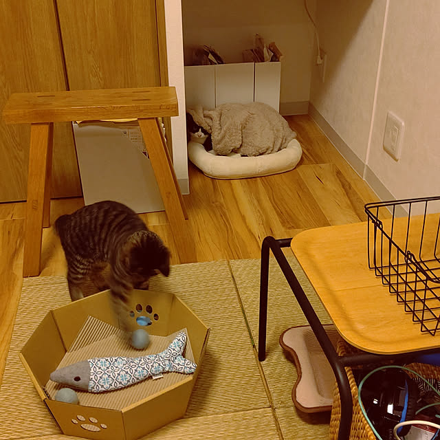 hihaさんの実例写真