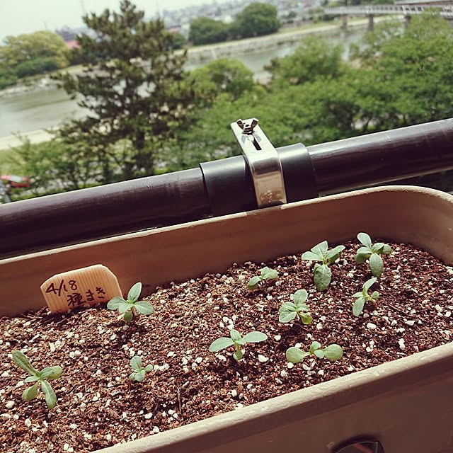 hopkeiさんの実例写真