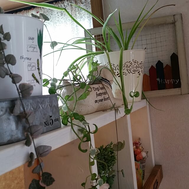 hitomiさんの実例写真