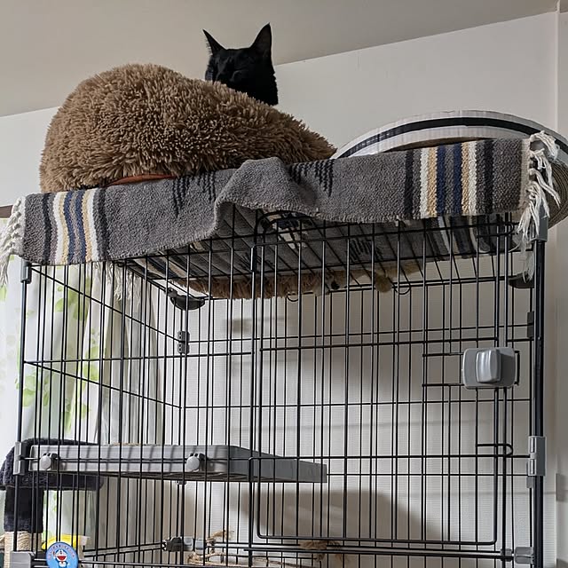 ciiiさんの部屋