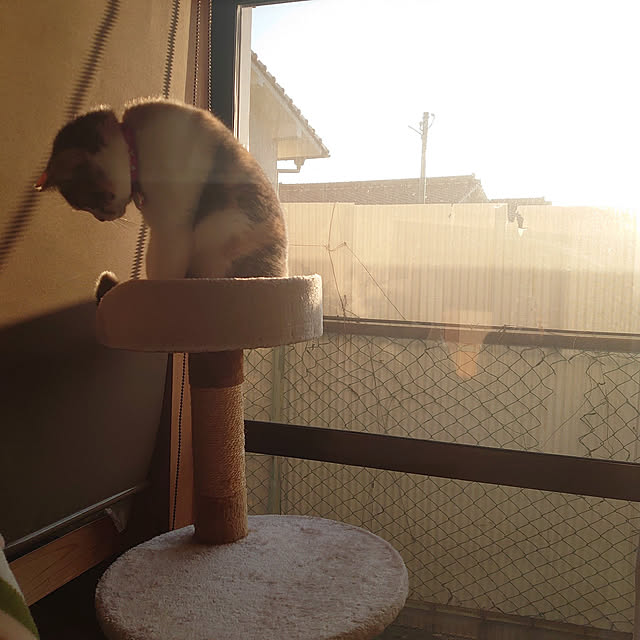 fukuさんの実例写真