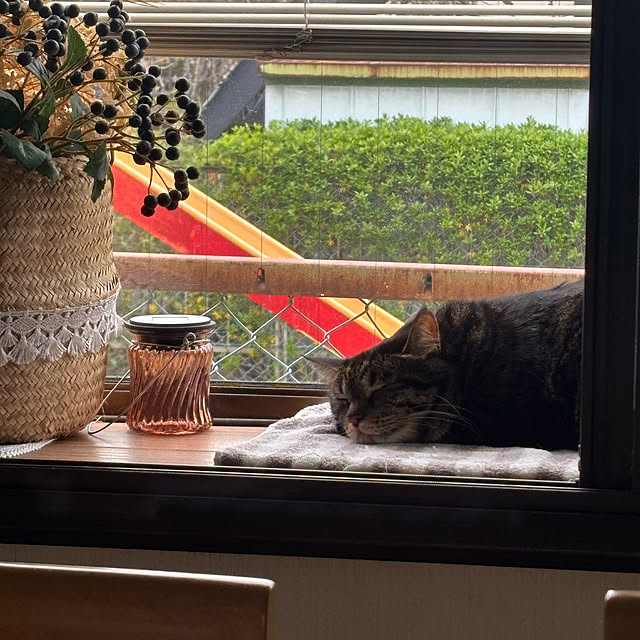 momocchiさんの実例写真