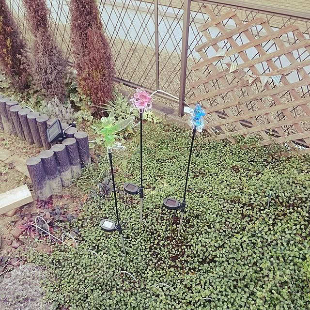macoさんの実例写真
