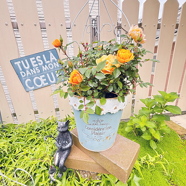 moolさんの実例写真