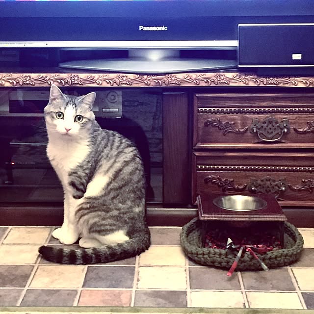 emmyyさんの実例写真