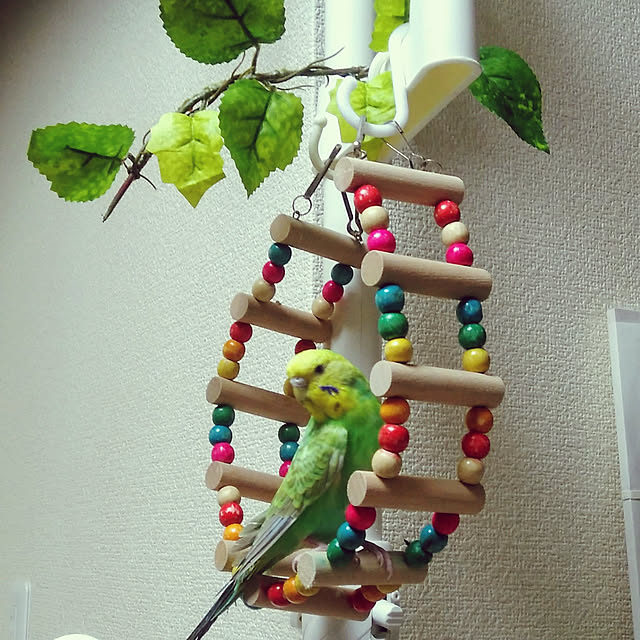 toratanさんの実例写真