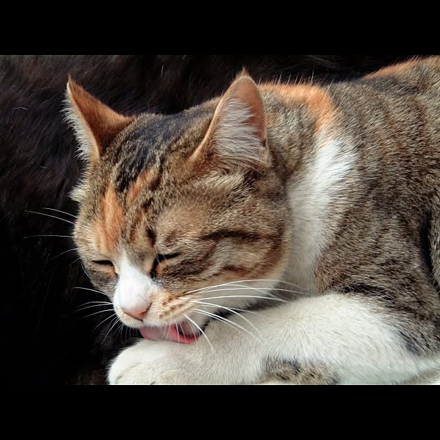 Keikoさんの実例写真