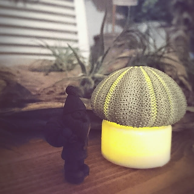 mamimamipockyさんの実例写真