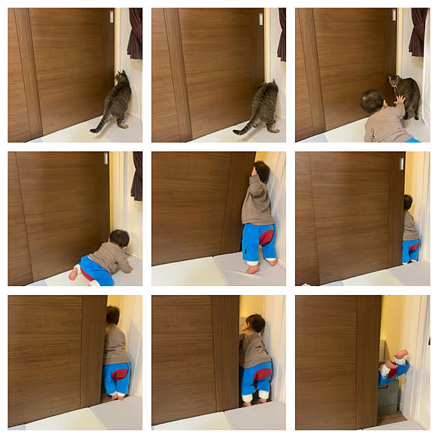 mikomaruさんの実例写真