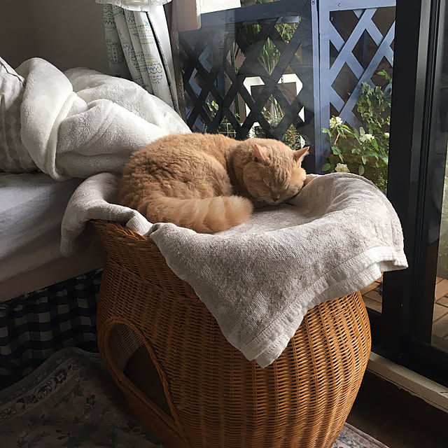 naokoさんの部屋