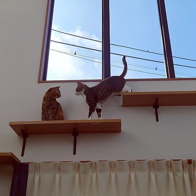 mochicoさんの実例写真