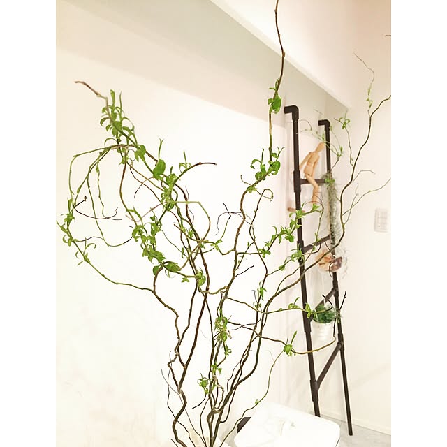 Risa___roomさんの実例写真
