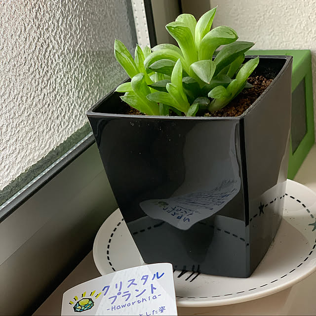 Midoriさんの実例写真
