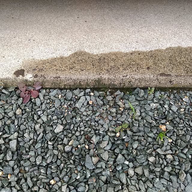 chocococoaさんの実例写真