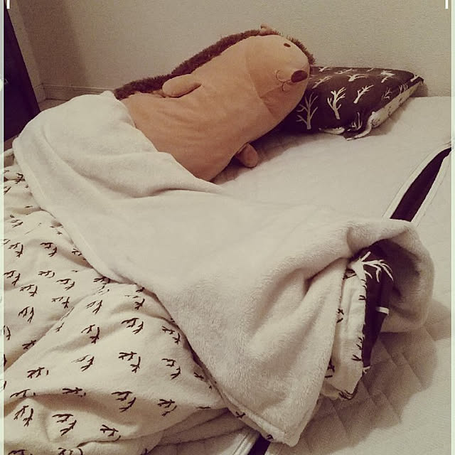 Akiさんの実例写真