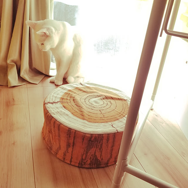 keikomokonさんの実例写真