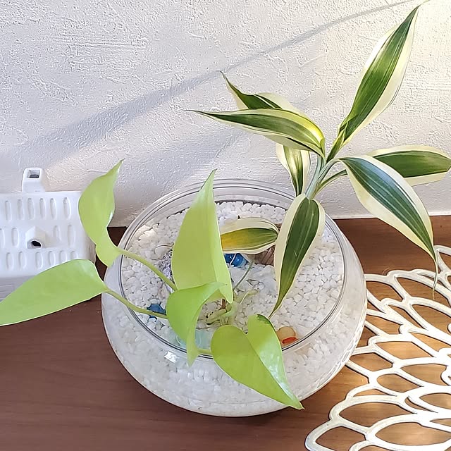 pinkpho050さんの部屋