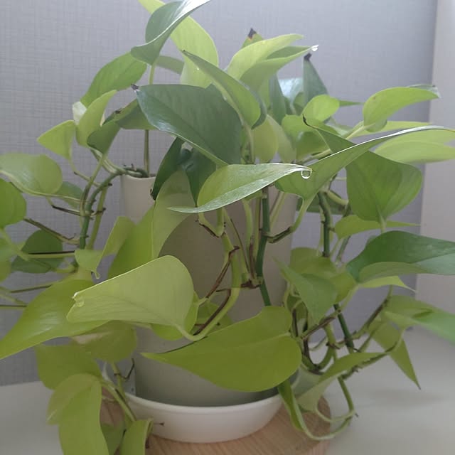 tan5さんの部屋