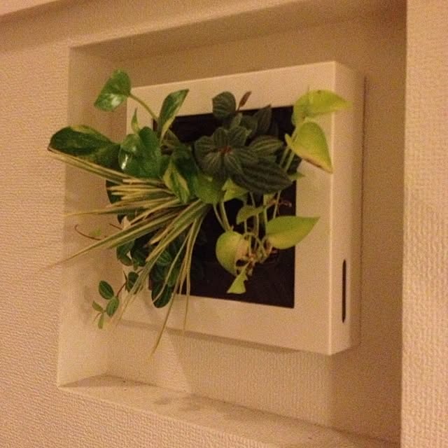 実例写真