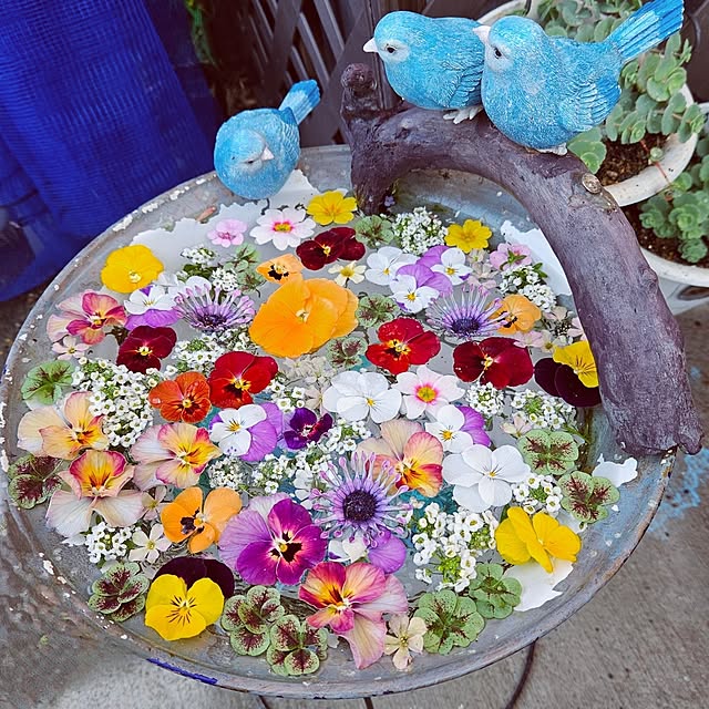 mocomocoさんの実例写真