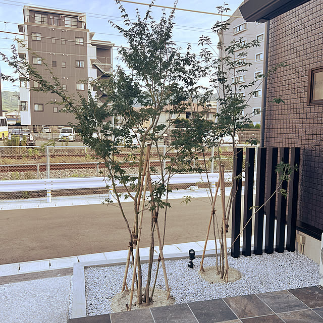 ma-.-sanさんの実例写真