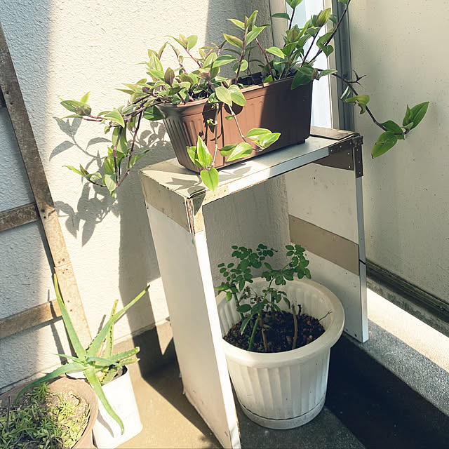 mamiさんの実例写真