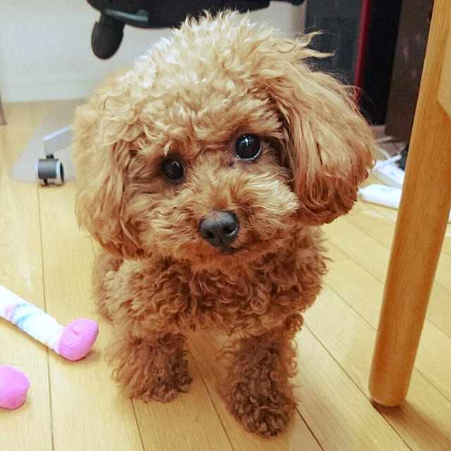 ayumoco725さんの実例写真