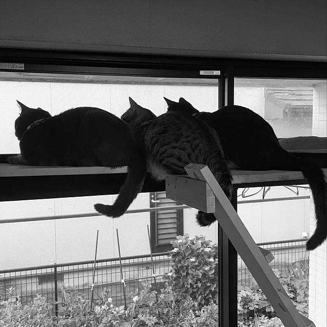kmakkyiさんの実例写真