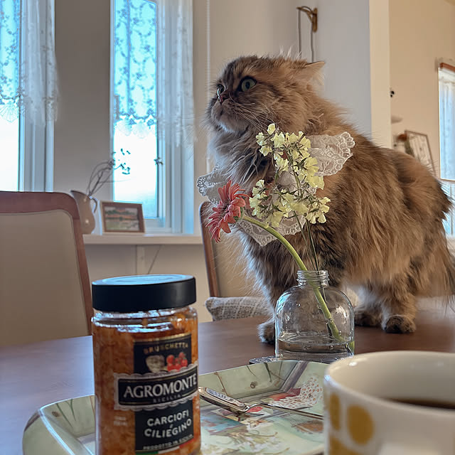 miyu39さんの部屋