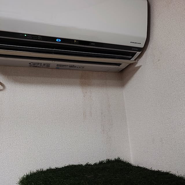 noguriさんの部屋