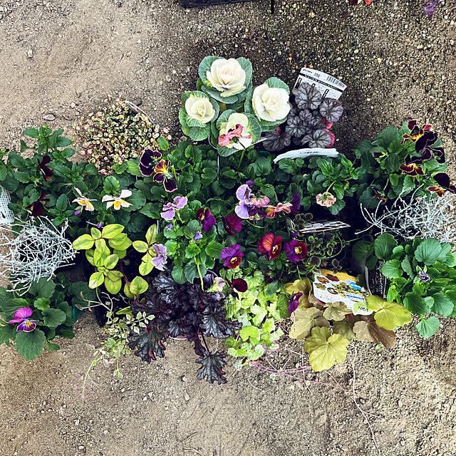 yukarin-gardenさんの部屋