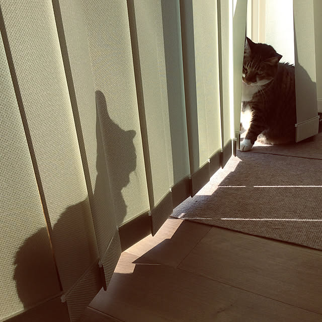 houenさんの実例写真