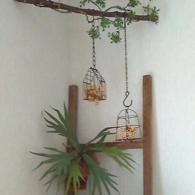 fuuさんの実例写真