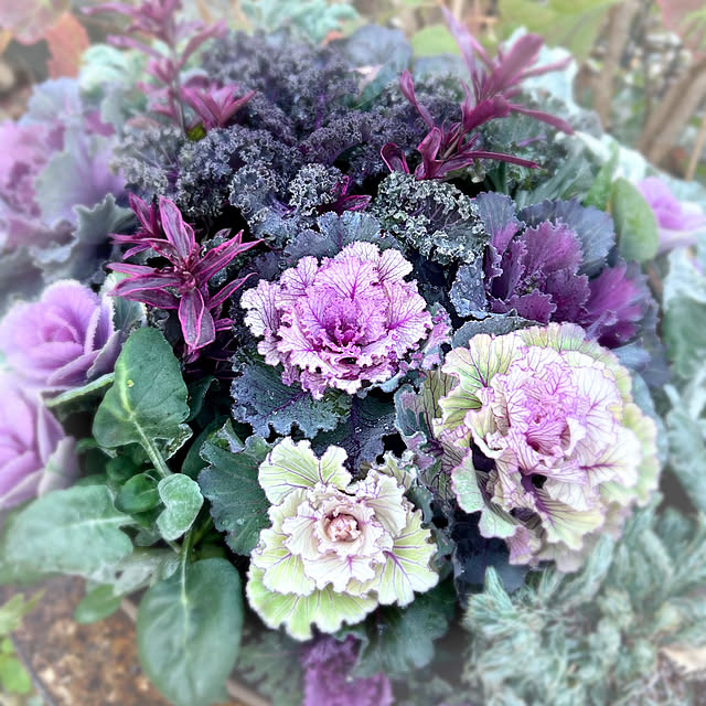 soraさんの実例写真