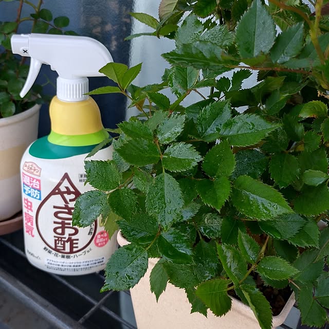 NOAHさんの実例写真