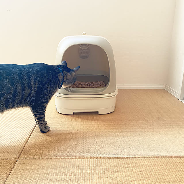 mmeeronさんの部屋