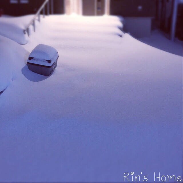 玄関/入り口/階段/ありがとうございます/除雪機/除雪...などのインテリア実例 - 2018-01-26 22:10:02