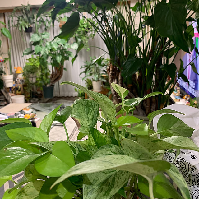 Aqettyさんの部屋