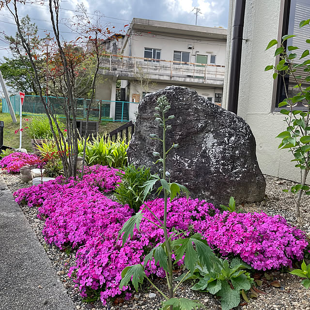 shin0719さんの実例写真