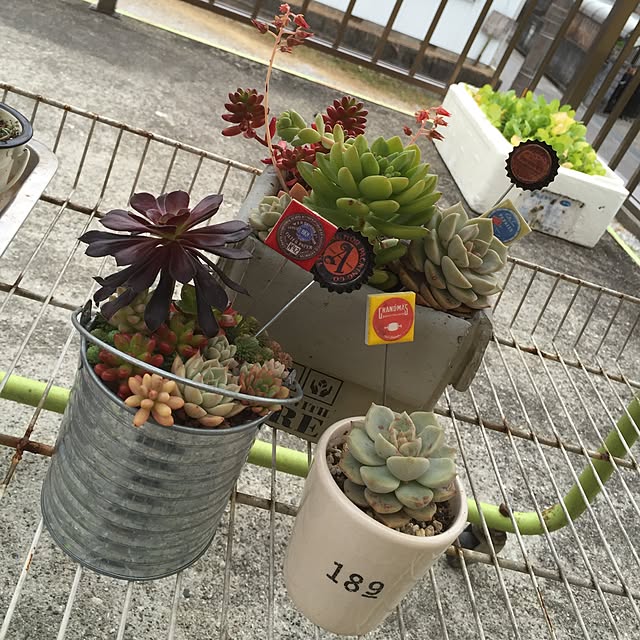 AMEIROさんの実例写真