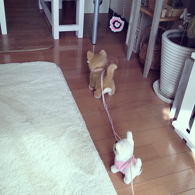 mayuoさんの実例写真