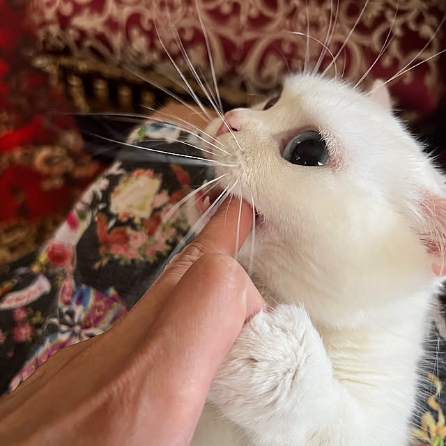 AYUKOさんの部屋