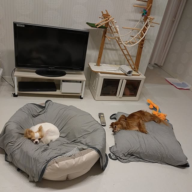 toratanさんの実例写真
