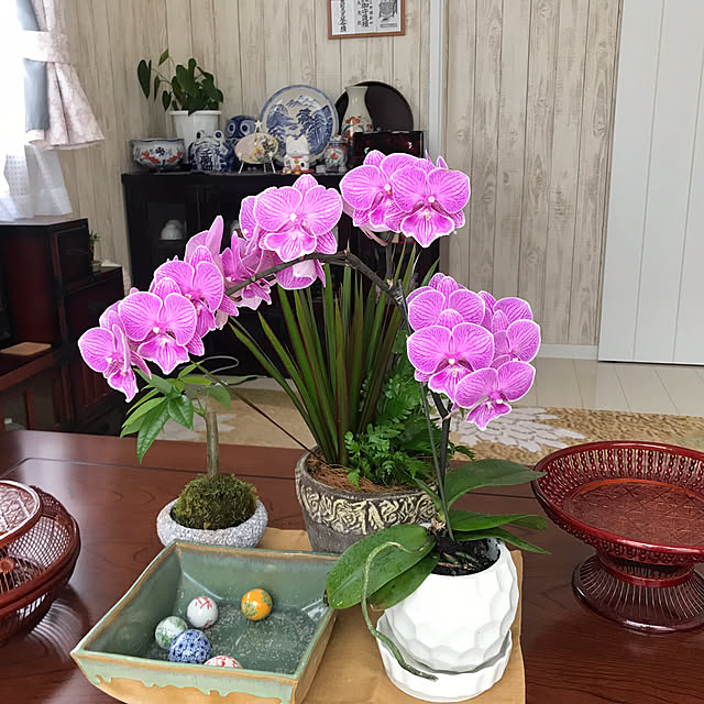 oceanさんの部屋