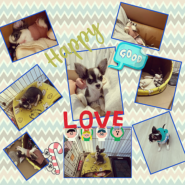 Love.Lapinさんの実例写真