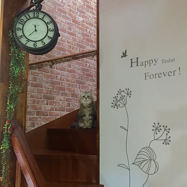 butachanさんの実例写真
