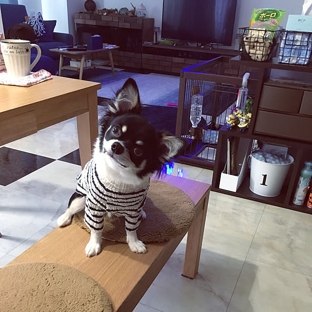 nさんの実例写真