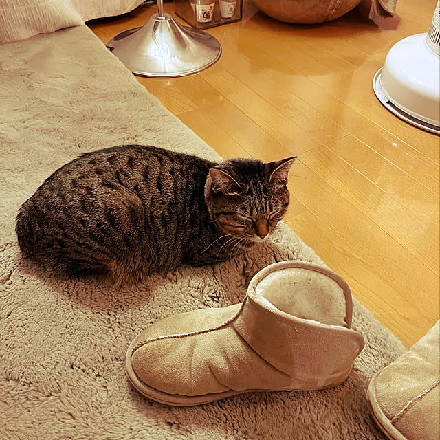 Mさんの実例写真